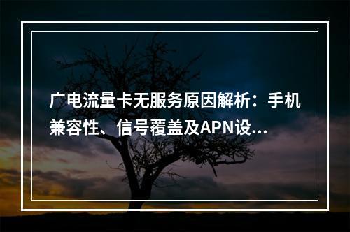 广电流量卡无服务原因解析：手机兼容性、信号覆盖及APN设置排查