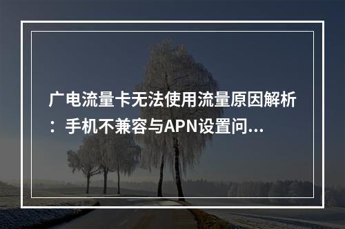 广电流量卡无法使用流量原因解析：手机不兼容与APN设置问题