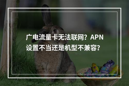 广电流量卡无法联网？APN设置不当还是机型不兼容？