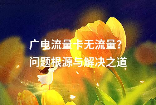 广电流量卡无流量？问题根源与解决之道