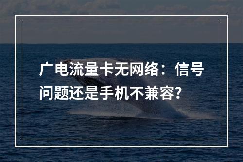 广电流量卡无网络：信号问题还是手机不兼容？