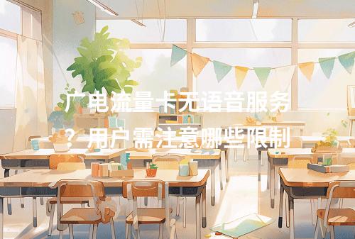 广电流量卡无语音服务？用户需注意哪些限制