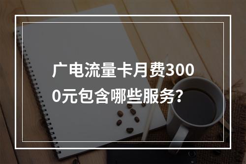 广电流量卡月费3000元包含哪些服务？
