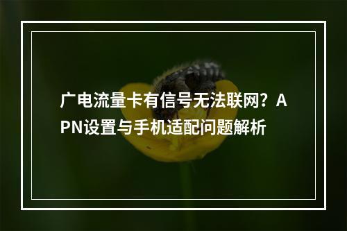 广电流量卡有信号无法联网？APN设置与手机适配问题解析