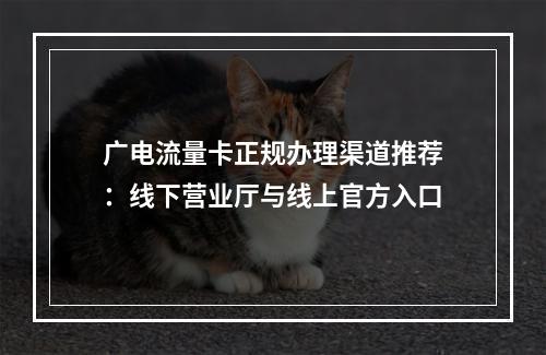 广电流量卡正规办理渠道推荐：线下营业厅与线上官方入口