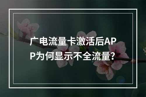 广电流量卡激活后APP为何显示不全流量？