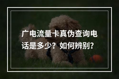 广电流量卡真伪查询电话是多少？如何辨别？