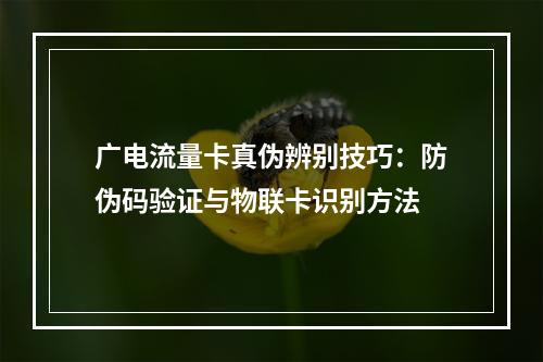 广电流量卡真伪辨别技巧：防伪码验证与物联卡识别方法