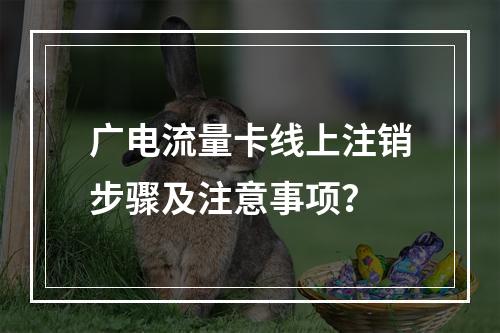 广电流量卡线上注销步骤及注意事项？