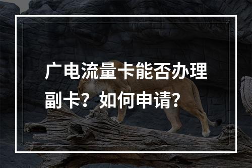 广电流量卡能否办理副卡？如何申请？