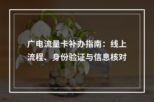 广电流量卡补办指南：线上流程、身份验证与信息核对