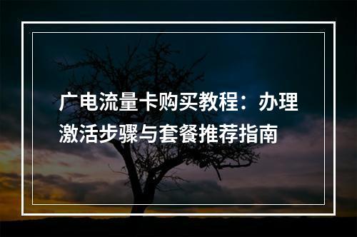 广电流量卡购买教程：办理激活步骤与套餐推荐指南