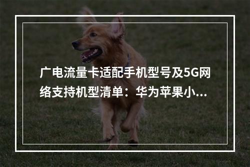 广电流量卡适配手机型号及5G网络支持机型清单：华为苹果小米上榜