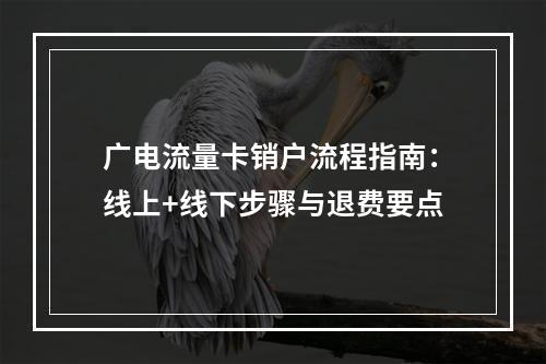 广电流量卡销户流程指南：线上+线下步骤与退费要点