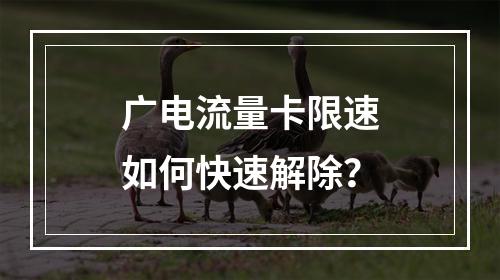 广电流量卡限速如何快速解除？