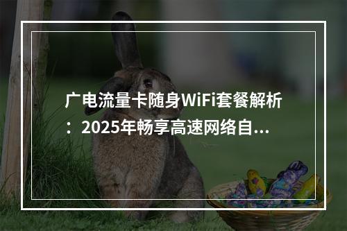 广电流量卡随身WiFi套餐解析：2025年畅享高速网络自由