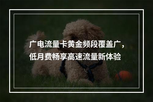 广电流量卡黄金频段覆盖广，低月费畅享高速流量新体验
