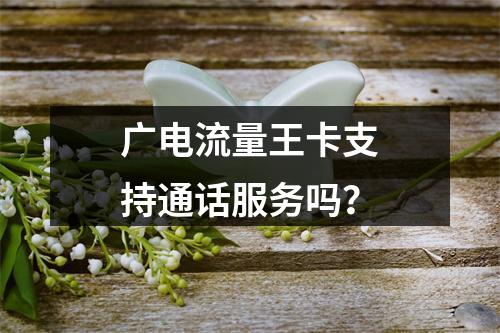 广电流量王卡支持通话服务吗？