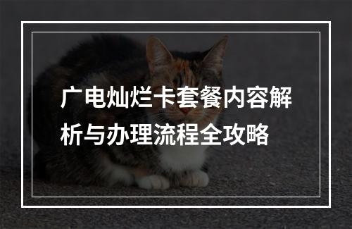 广电灿烂卡套餐内容解析与办理流程全攻略