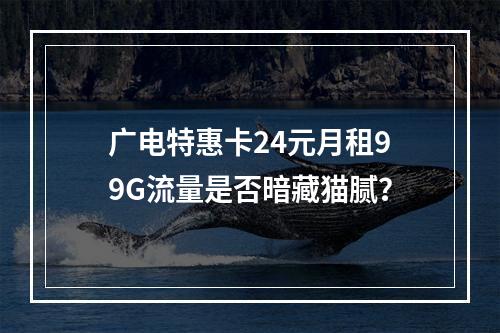 广电特惠卡24元月租99G流量是否暗藏猫腻？