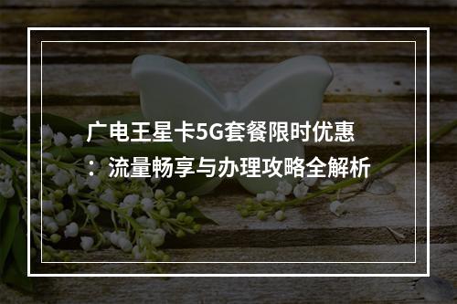 广电王星卡5G套餐限时优惠：流量畅享与办理攻略全解析