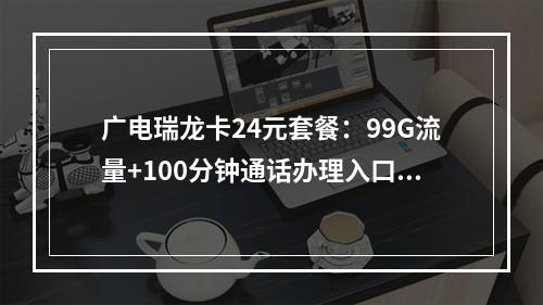 广电瑞龙卡24元套餐：99G流量+100分钟通话办理入口指南
