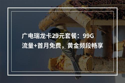 广电瑞龙卡29元套餐：99G流量+首月免费，黄金频段畅享