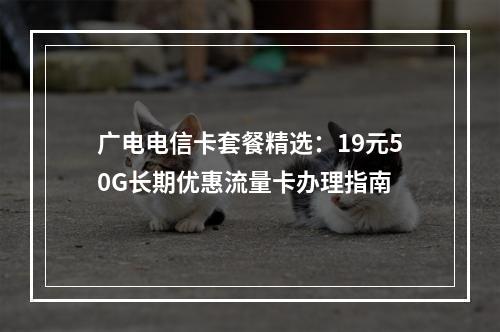 广电电信卡套餐精选：19元50G长期优惠流量卡办理指南