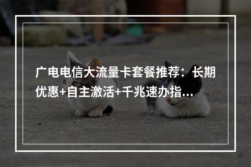 广电电信大流量卡套餐推荐：长期优惠+自主激活+千兆速办指南