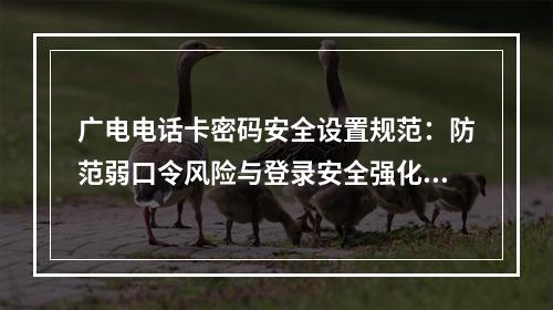 广电电话卡密码安全设置规范：防范弱口令风险与登录安全强化指南