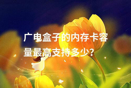 广电盒子的内存卡容量最高支持多少？