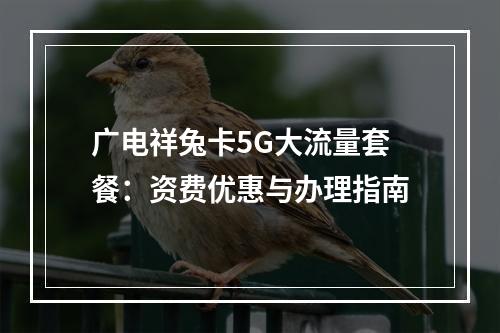 广电祥兔卡5G大流量套餐：资费优惠与办理指南