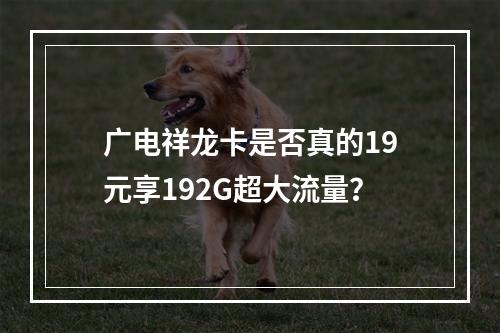 广电祥龙卡是否真的19元享192G超大流量？