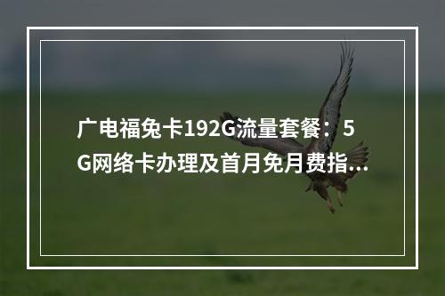 广电福兔卡192G流量套餐：5G网络卡办理及首月免月费指南