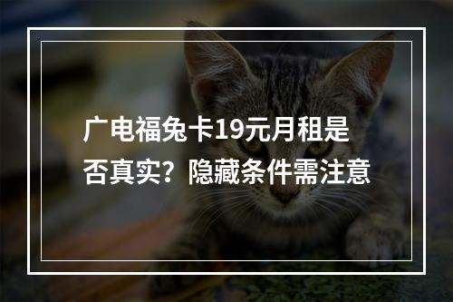 广电福兔卡19元月租是否真实？隐藏条件需注意