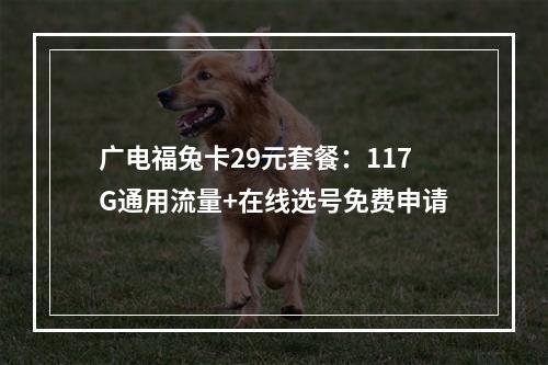 广电福兔卡29元套餐：117G通用流量+在线选号免费申请