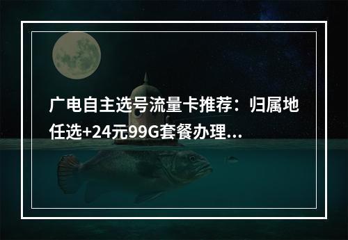 广电自主选号流量卡推荐：归属地任选+24元99G套餐办理指南
