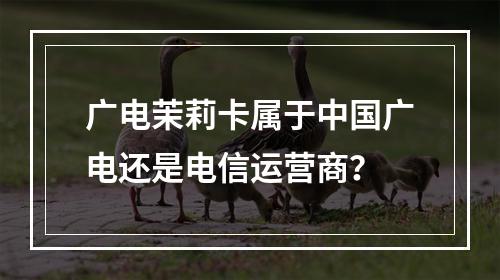 广电茉莉卡属于中国广电还是电信运营商？