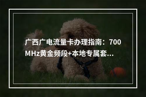 广西广电流量卡办理指南：700MHz黄金频段+本地专属套餐解析