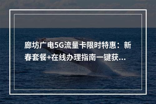 廊坊广电5G流量卡限时特惠：新春套餐+在线办理指南一键获取