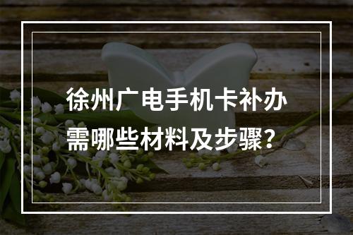 徐州广电手机卡补办需哪些材料及步骤？