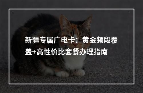 新疆专属广电卡：黄金频段覆盖+高性价比套餐办理指南