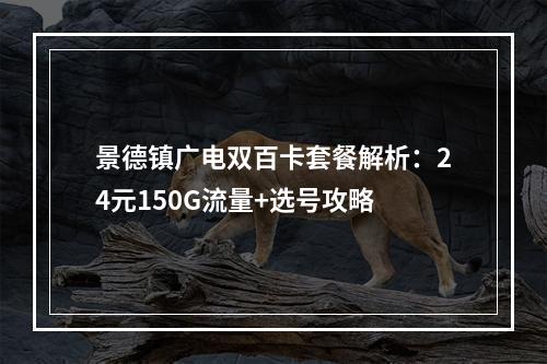 景德镇广电双百卡套餐解析：24元150G流量+选号攻略