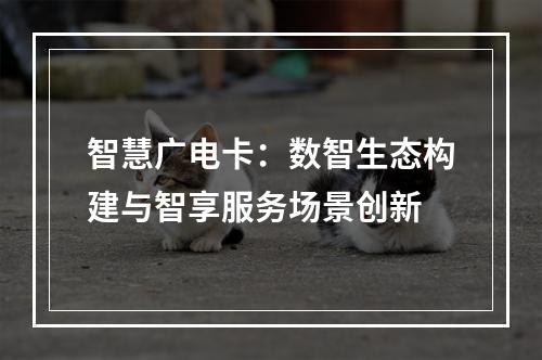 智慧广电卡：数智生态构建与智享服务场景创新