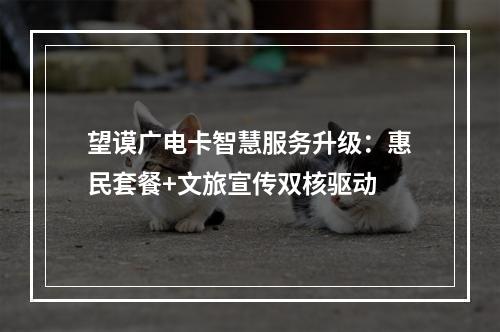 望谟广电卡智慧服务升级：惠民套餐+文旅宣传双核驱动