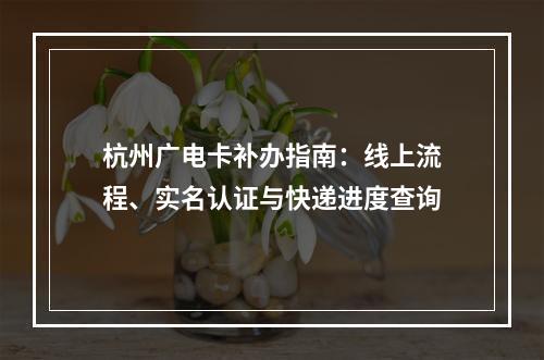 杭州广电卡补办指南：线上流程、实名认证与快递进度查询
