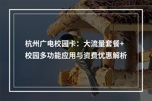 杭州广电校园卡：大流量套餐+校园多功能应用与资费优惠解析