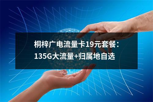 桐梓广电流量卡19元套餐：135G大流量+归属地自选