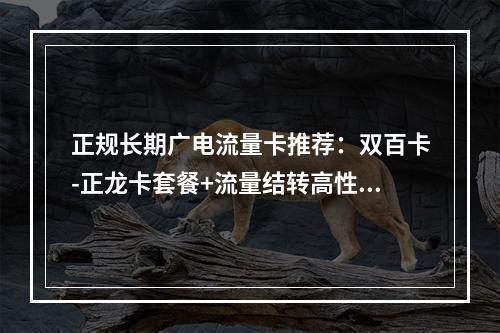 正规长期广电流量卡推荐：双百卡-正龙卡套餐+流量结转高性价比