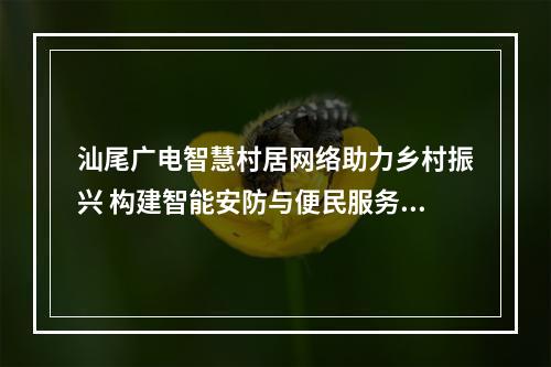 汕尾广电智慧村居网络助力乡村振兴 构建智能安防与便民服务体系